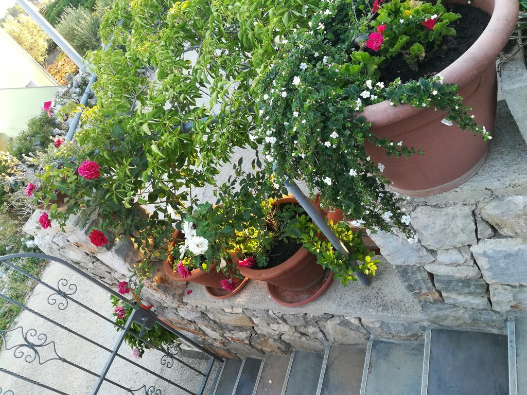 Apartment Neno - Terrace & Parking Veli Lošinj Exterior foto